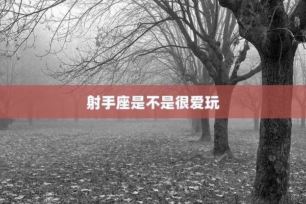 射手座是不是很爱玩