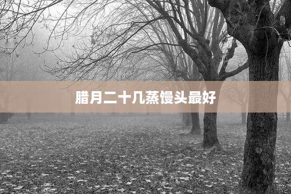 腊月二十几蒸馒头最好