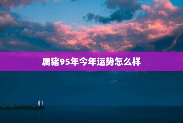 属猪95年今年运势怎么样