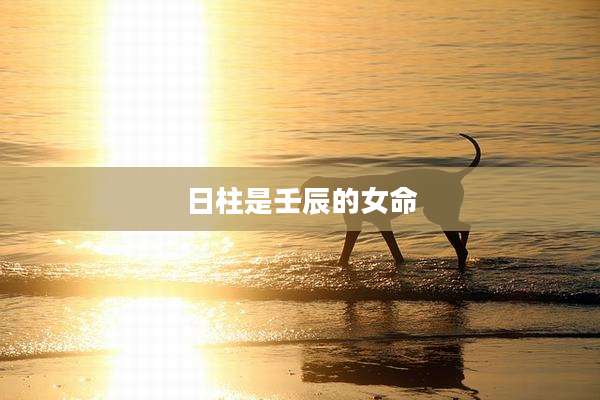 日柱是壬辰的女命