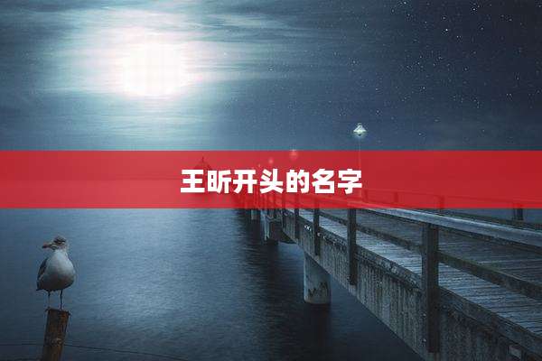 王昕开头的名字