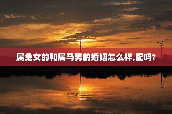 属兔女的和属马男的婚姻怎么样,配吗?