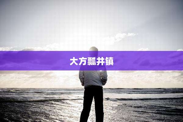 大方瓢井镇