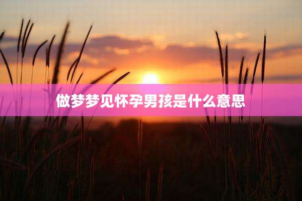 做梦梦见怀孕男孩是什么意思