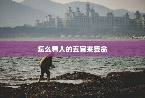 怎么看人的五官来算命