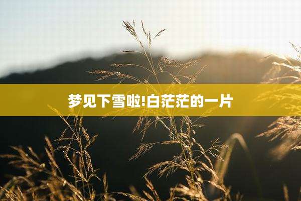 梦见下雪啦!白茫茫的一片