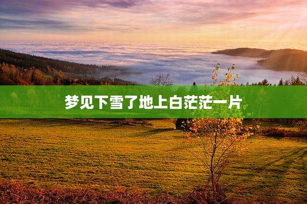 梦见下雪了地上白茫茫一片