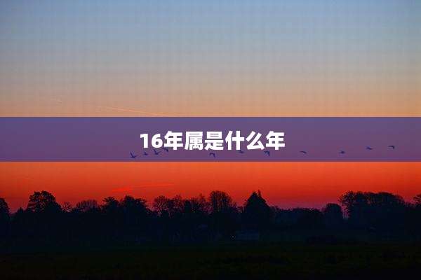 16年属是什么年