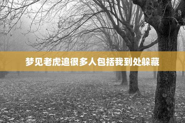 梦见老虎追很多人包括我到处躲藏