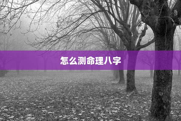 怎么测命理八字