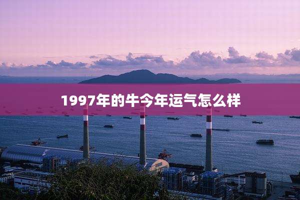 1997年的牛今年运气怎么样