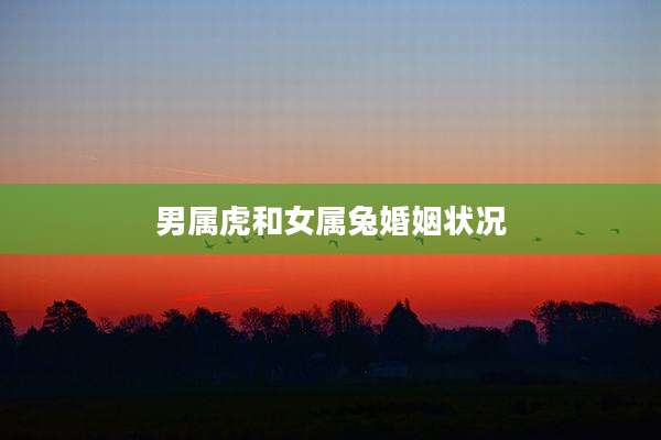 男属虎和女属兔婚姻状况