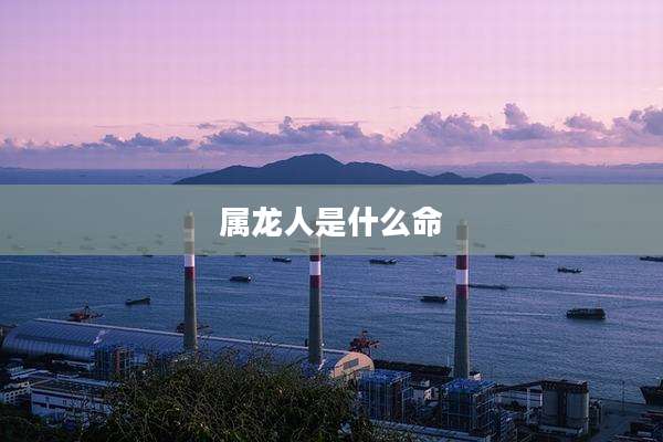 属龙人是什么命