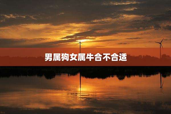 男属狗女属牛合不合适