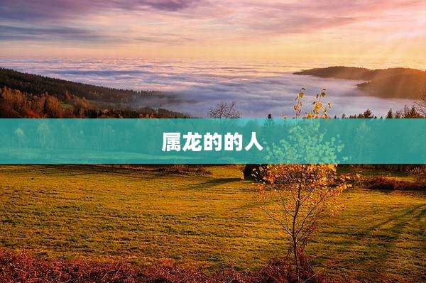 属龙的的人