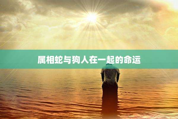 属相蛇与狗人在一起的命运
