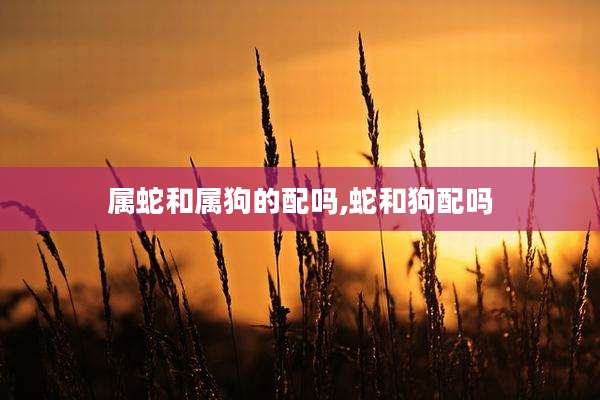 属蛇和属狗的配吗,蛇和狗配吗