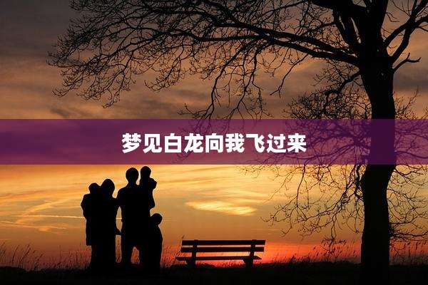梦见白龙向我飞过来
