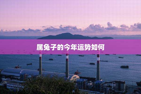 属兔子的今年运势如何