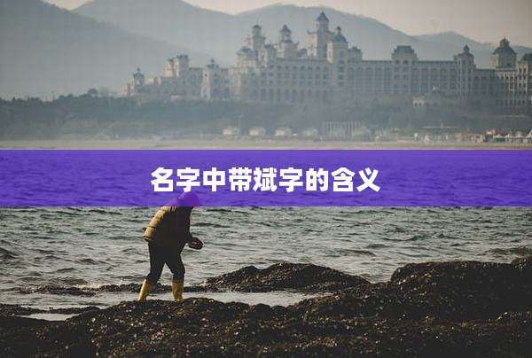名字中带斌字的含义