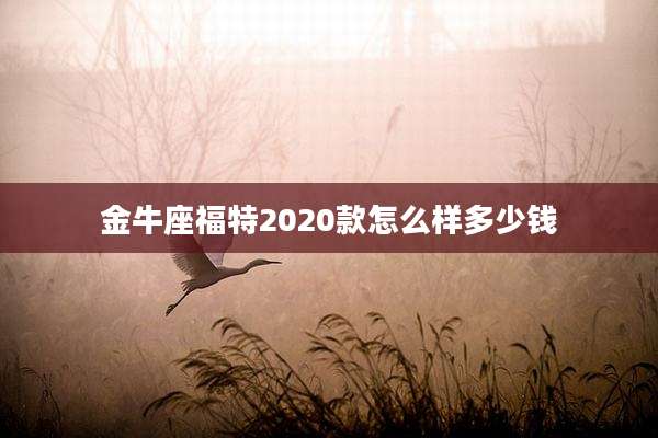 金牛座福特2020款怎么样多少钱