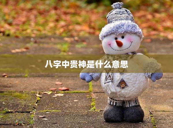 八字中贵神是什么意思