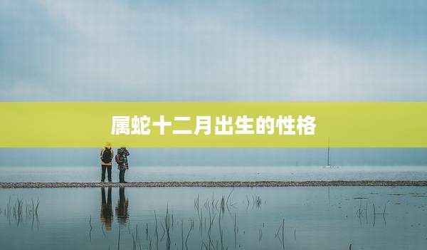 属蛇十二月出生的性格