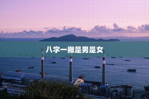 八字一撇是男是女