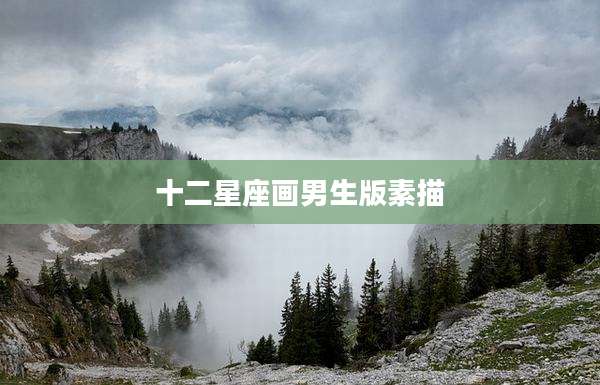 十二星座画男生版素描
