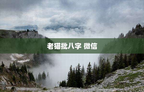 老猫批八字 微信