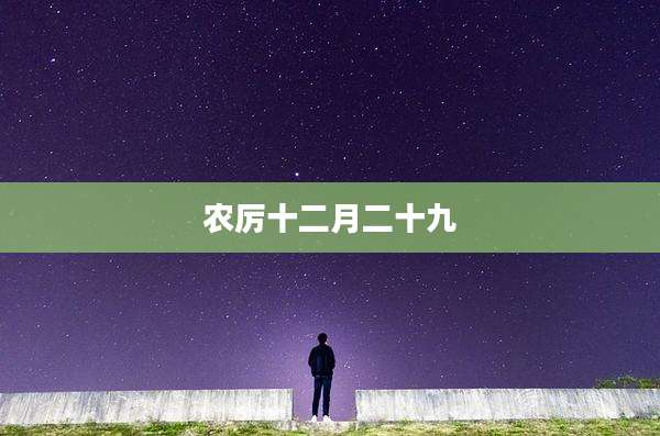 农厉十二月二十九