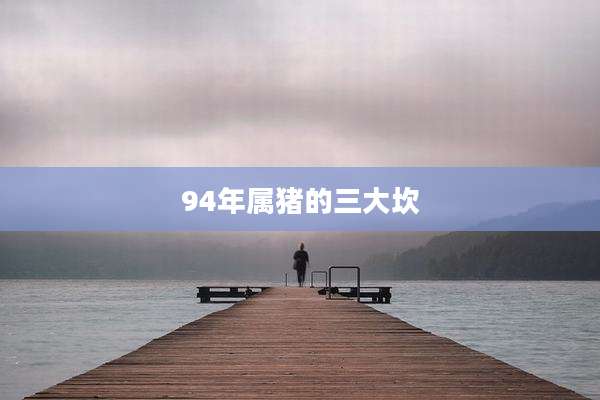 94年属猪的三大坎