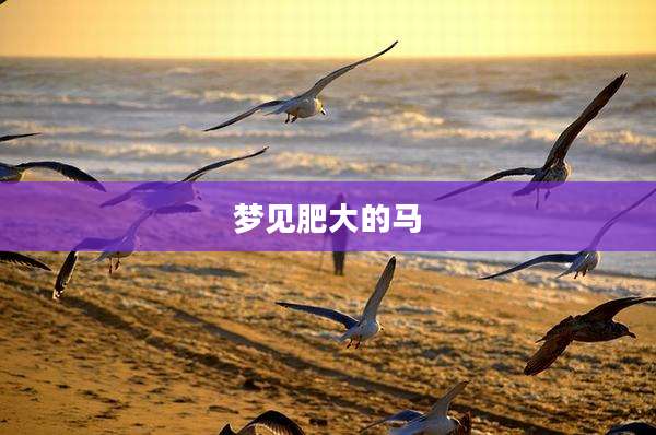 梦见肥大的马