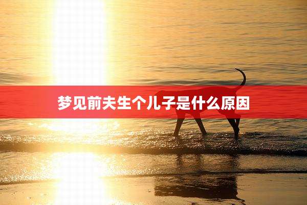 梦见前夫生个儿子是什么原因