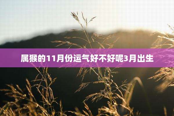 属猴的11月份运气好不好呢3月出生