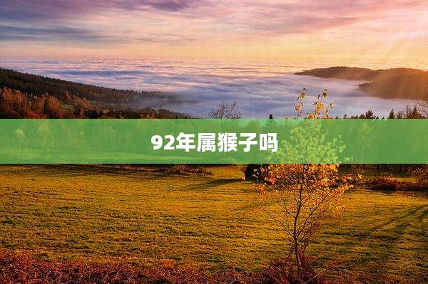 92年属猴子吗