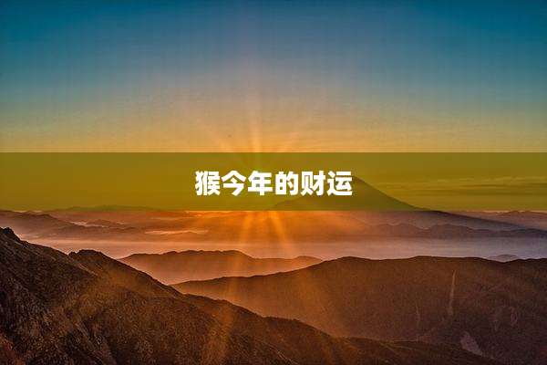 猴今年的财运
