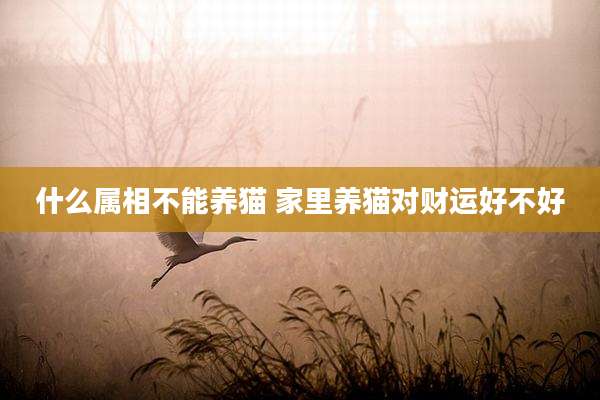 什么属相不能养猫 家里养猫对财运好不好