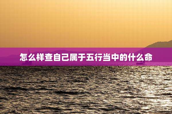怎么样查自己属于五行当中的什么命