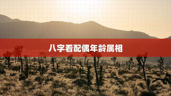 八字看配偶年龄属相