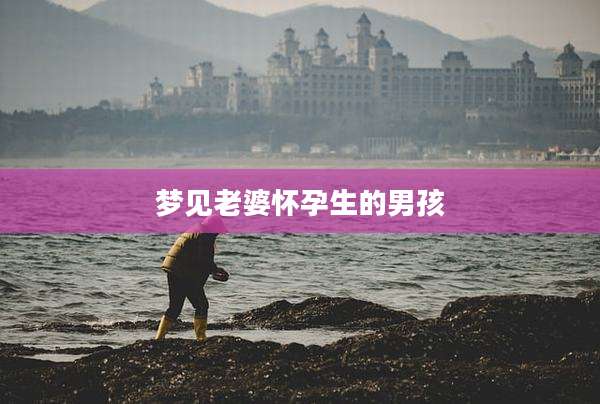 梦见老婆怀孕生的男孩