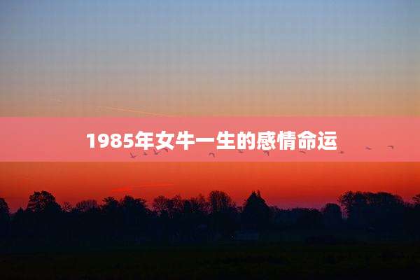 1985年女牛一生的感情命运
