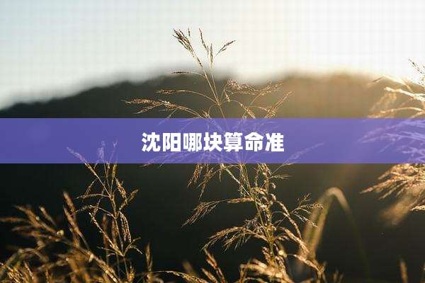 沈阳哪块算命准
