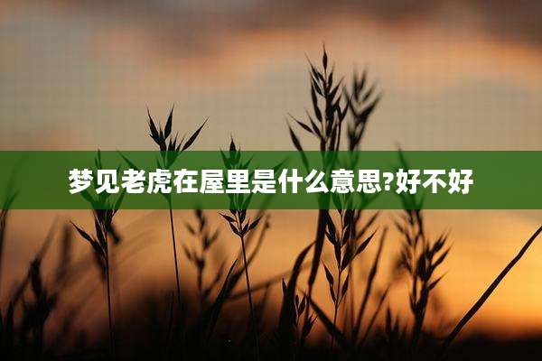 梦见老虎在屋里是什么意思?好不好
