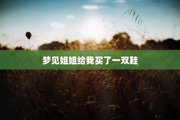 梦见姐姐给我买了一双鞋