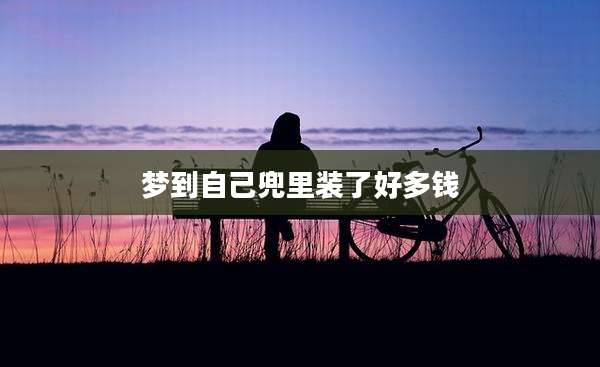 梦到自己兜里装了好多钱