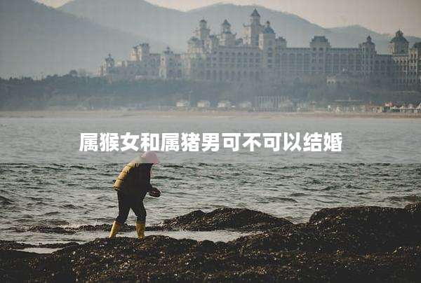 属猴女和属猪男可不可以结婚