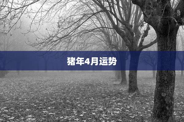 猪年4月运势