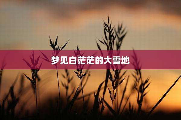 梦见白茫茫的大雪地