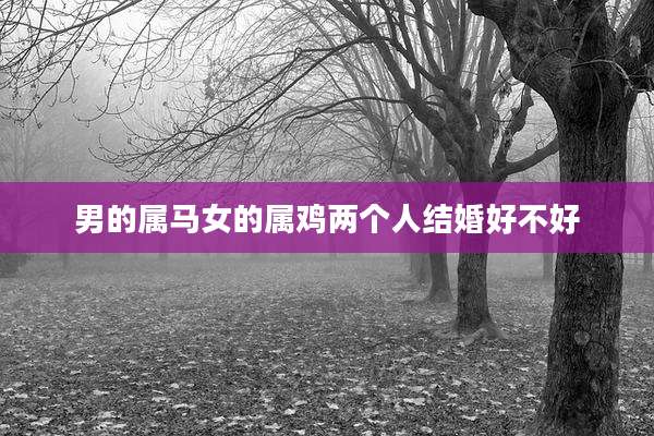 男的属马女的属鸡两个人结婚好不好